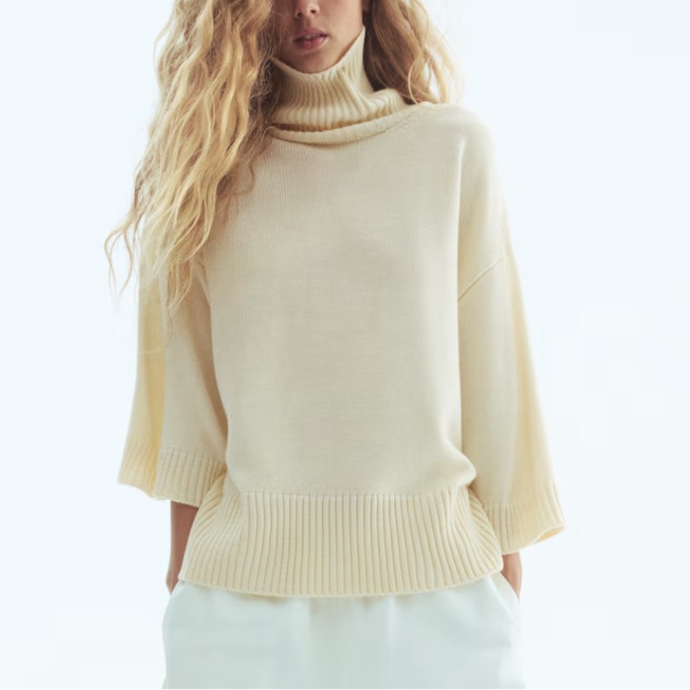 H&M Turtleneck Sweater